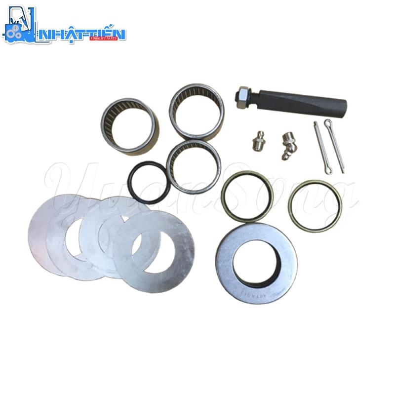 224W4-39801 TCM Seal Kit King Pin